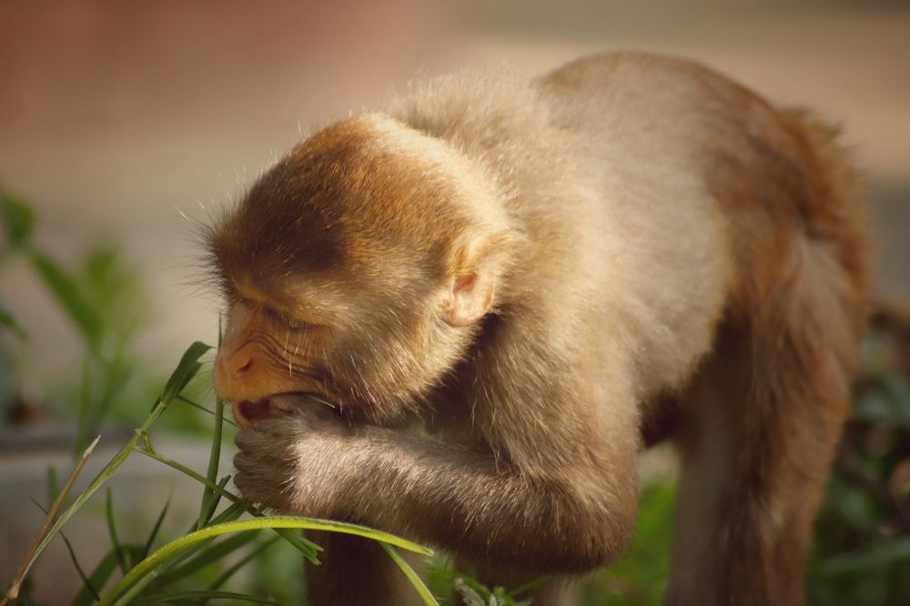 Фотография автора Washiful Majid