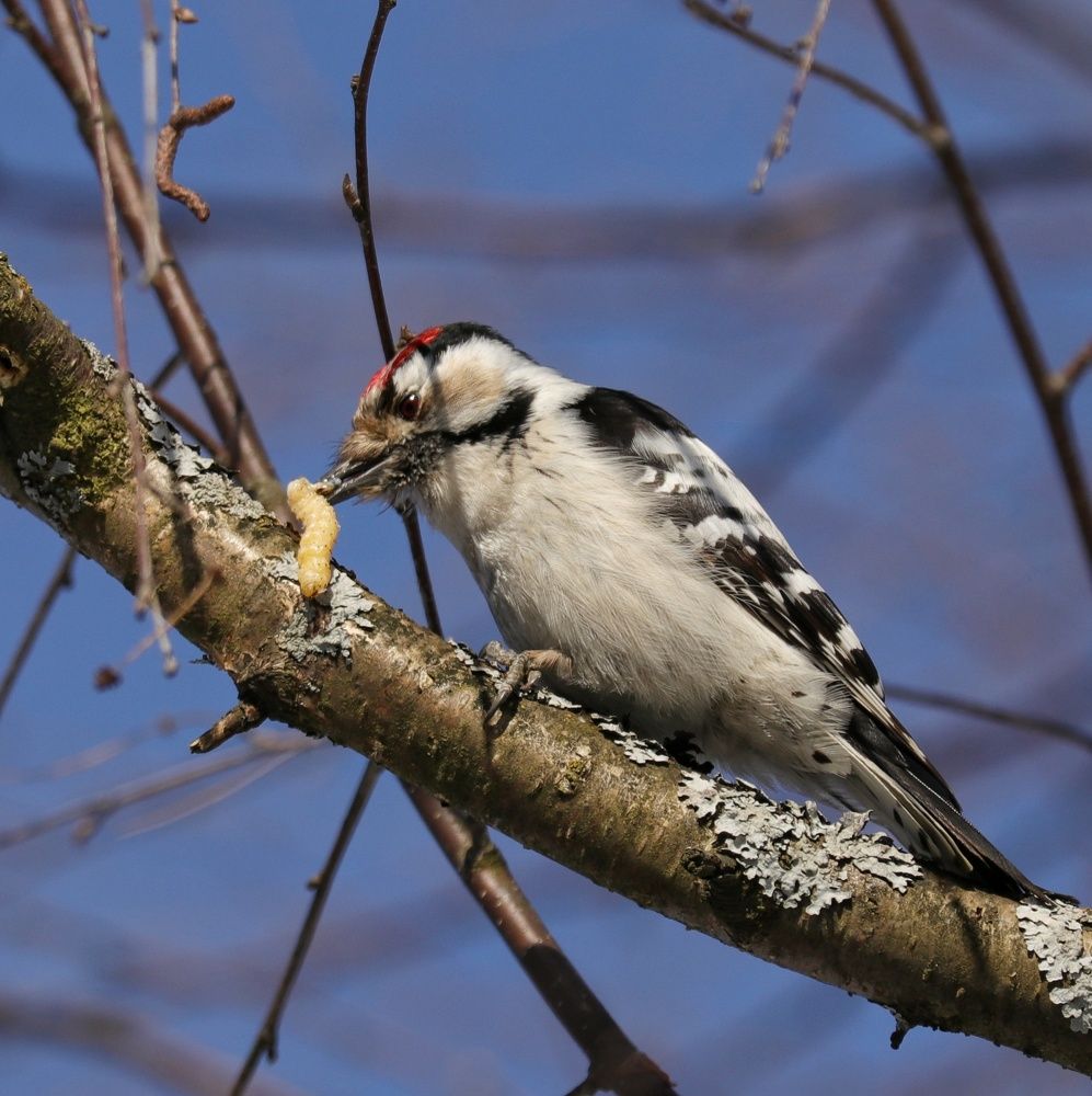 Photograph by Наталья Гайдукевич