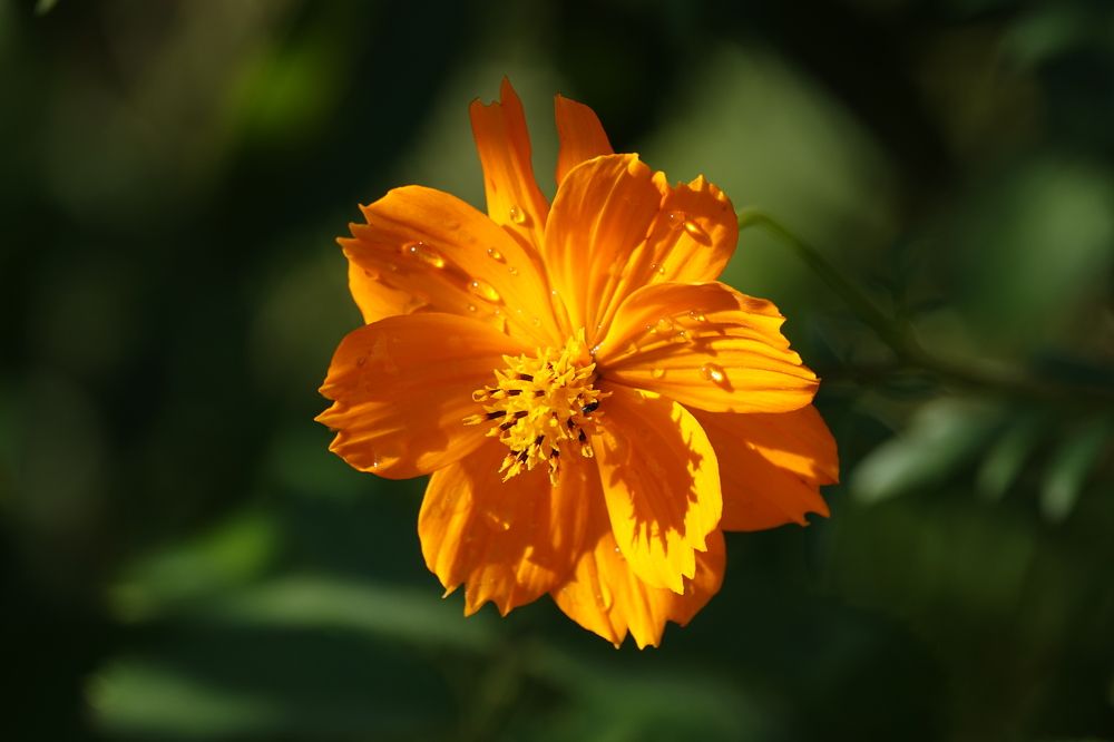 Photograph by Zakharov Matvey