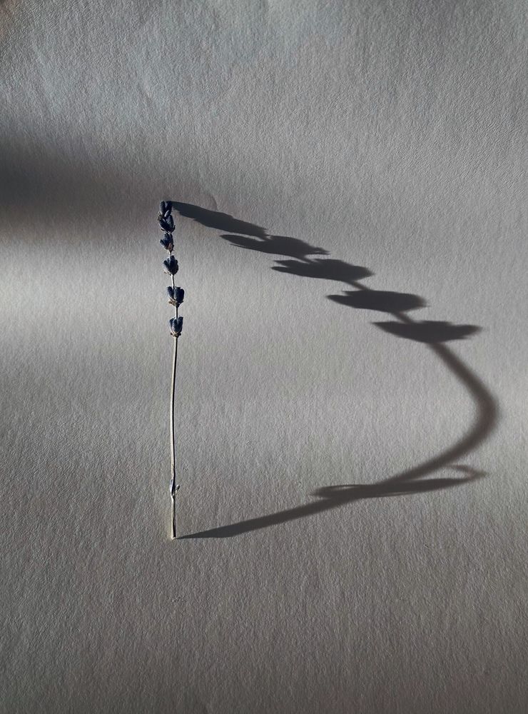 Photograph by Наталья Сережко