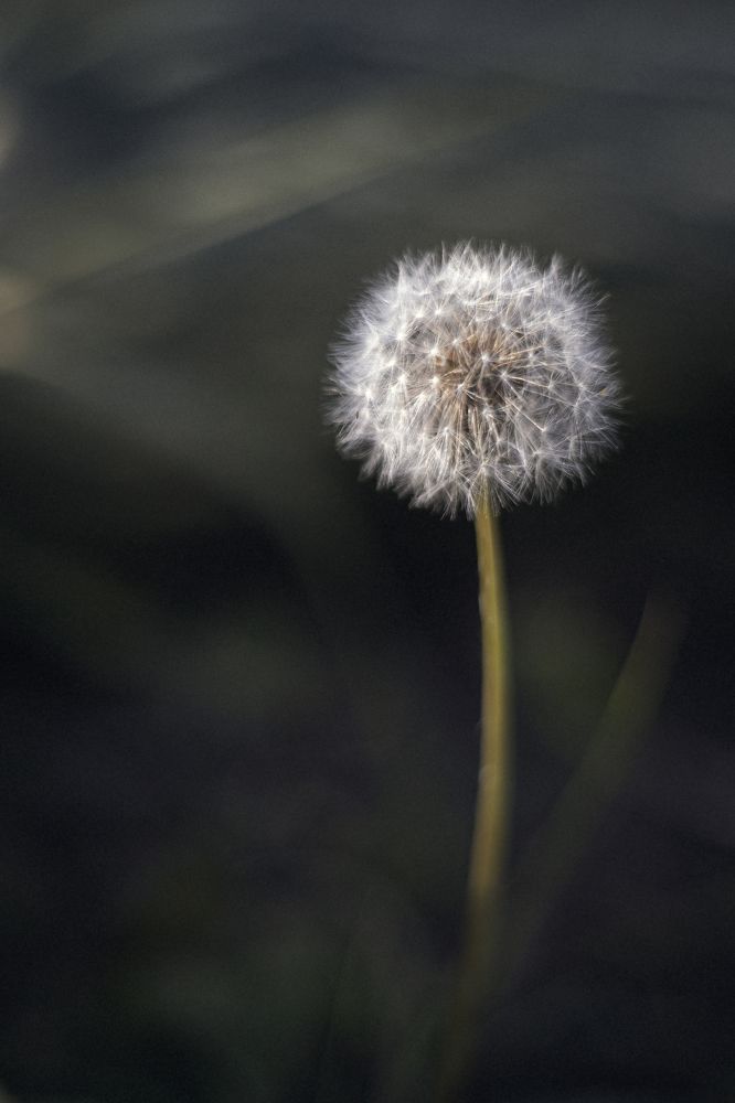 Photograph by Дарья Шацких
