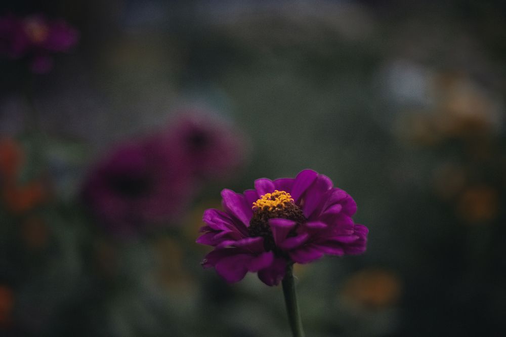 Photograph by Дарья Шацких