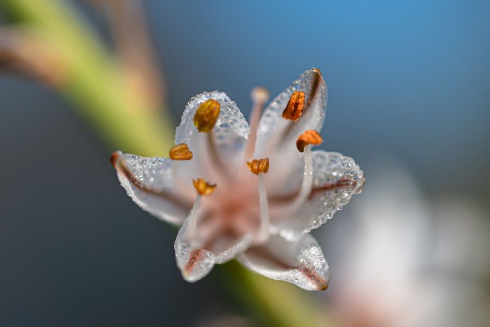 Photograph by M. Luisa Águeda