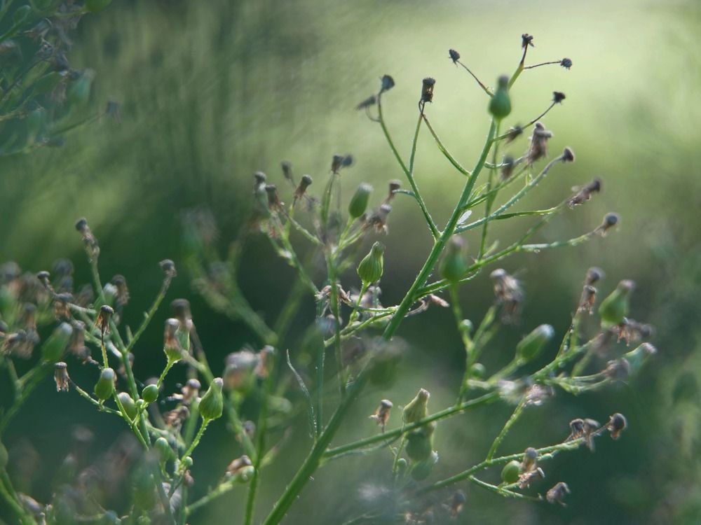 Photograph by Наталья Сережко