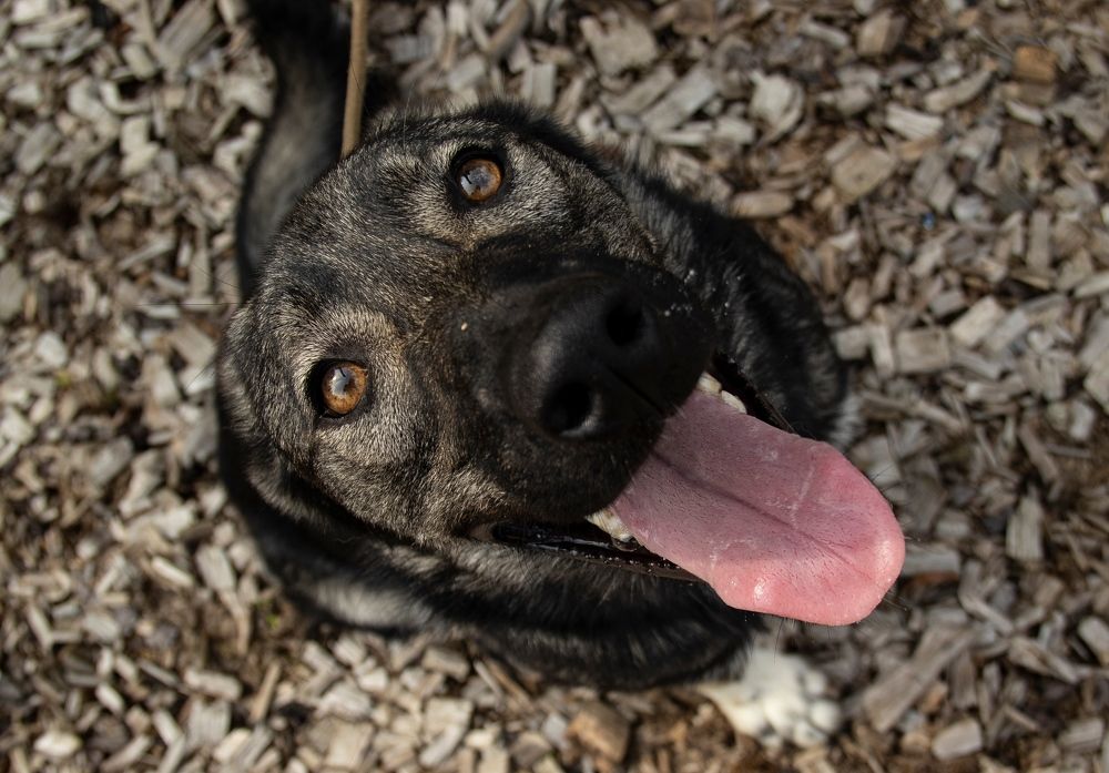 Photograph by Елена Попова