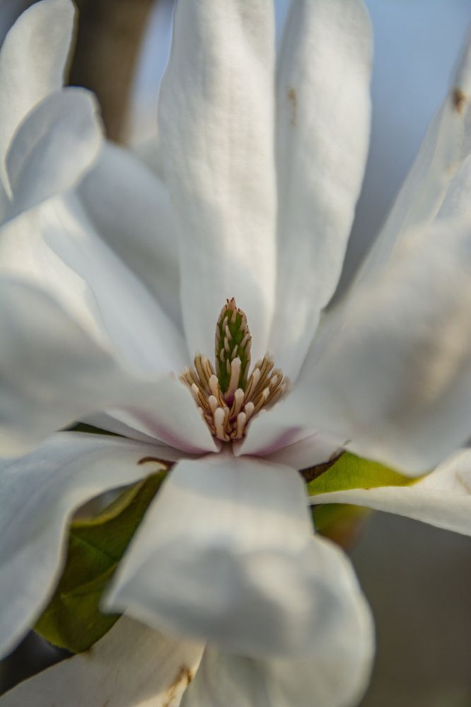 Photograph by Марина Канавченко