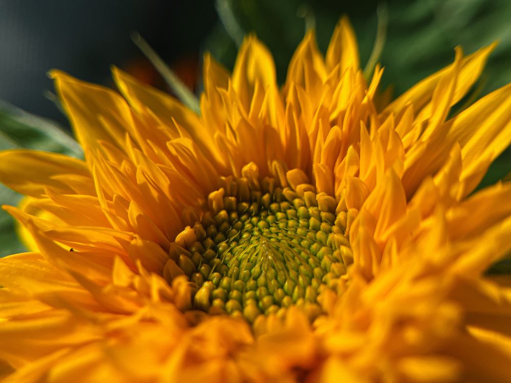 Photograph by Алиса Чугунова