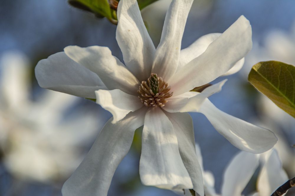 Photograph by Марина Канавченко