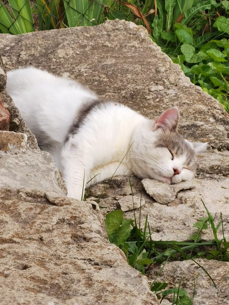 Photograph by Филоненко Николай