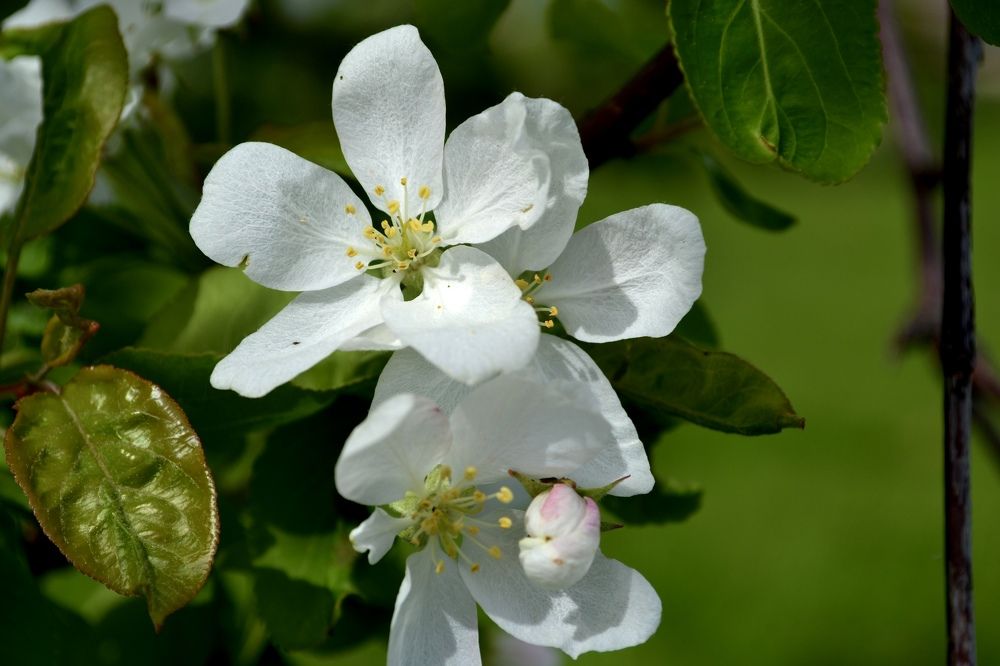 Photograph by Юлия Орлова