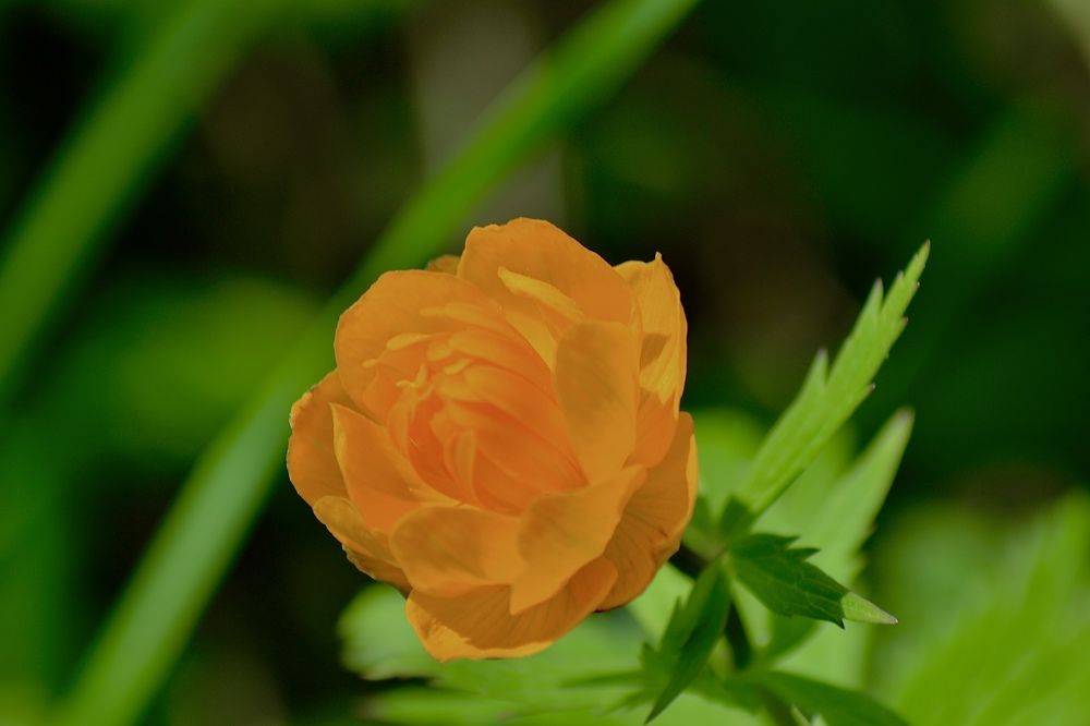 Photograph by Юлия Орлова