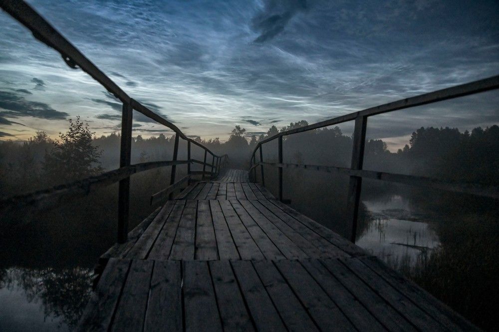 Photograph by Алексей Логинов