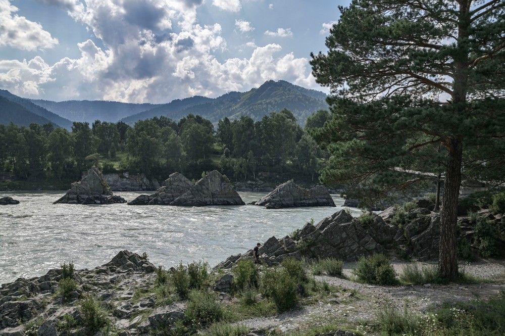 Photograph by Алексей Логинов