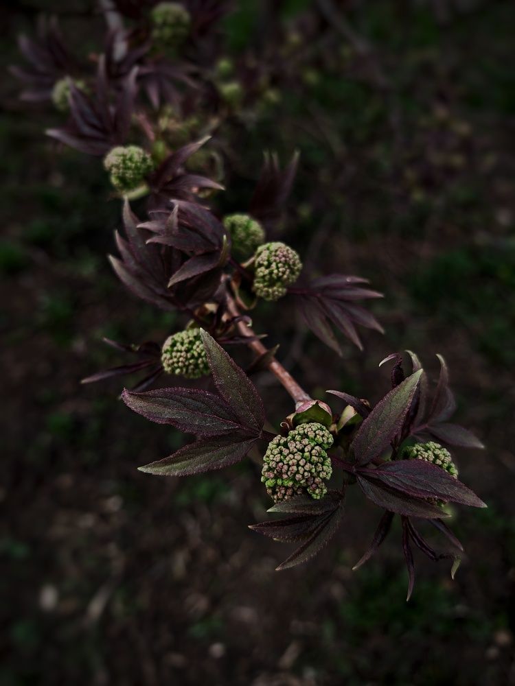 Photograph by Ольга Мажарук