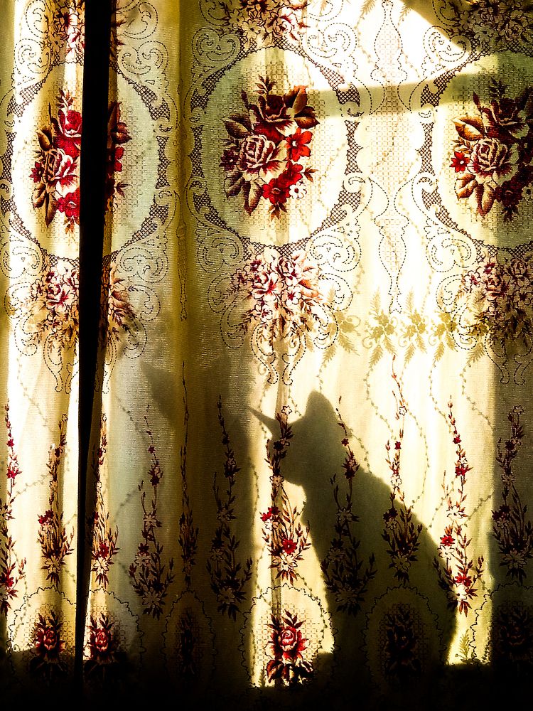 Photograph by Владимир Сушкин