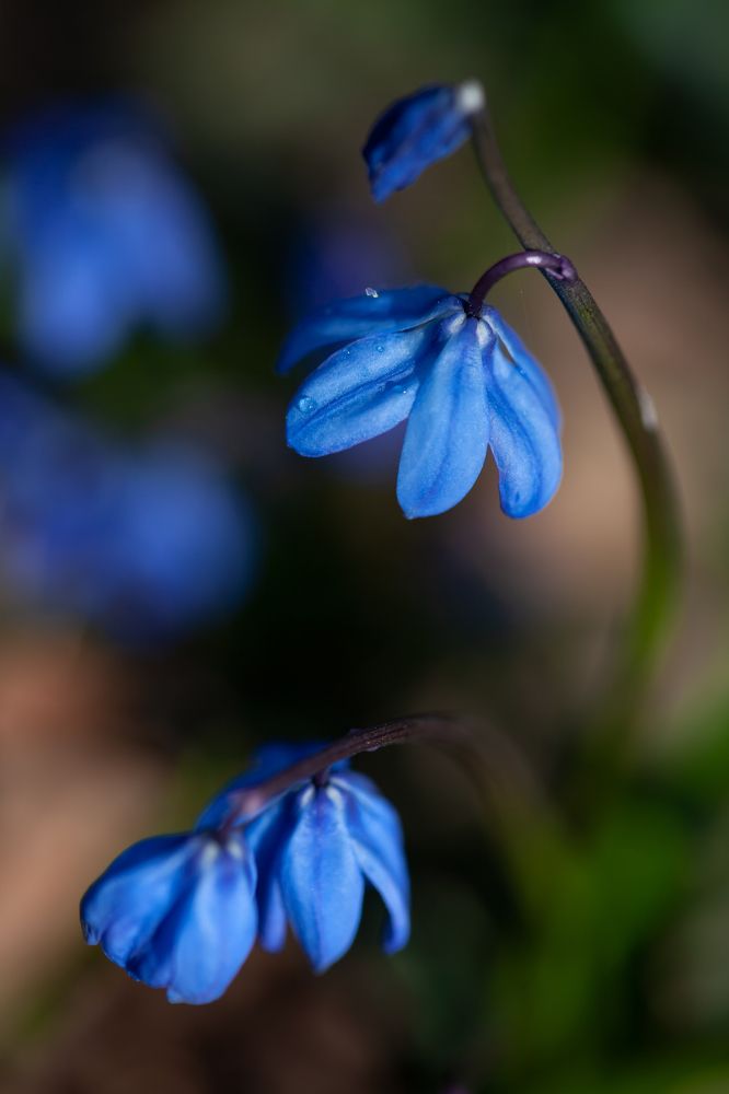 Фотография автора Dmitry Finkel