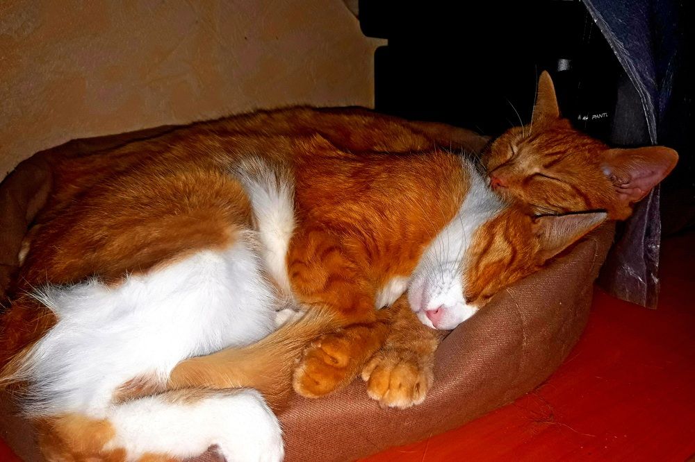 Photograph by Дмитрий Симагин