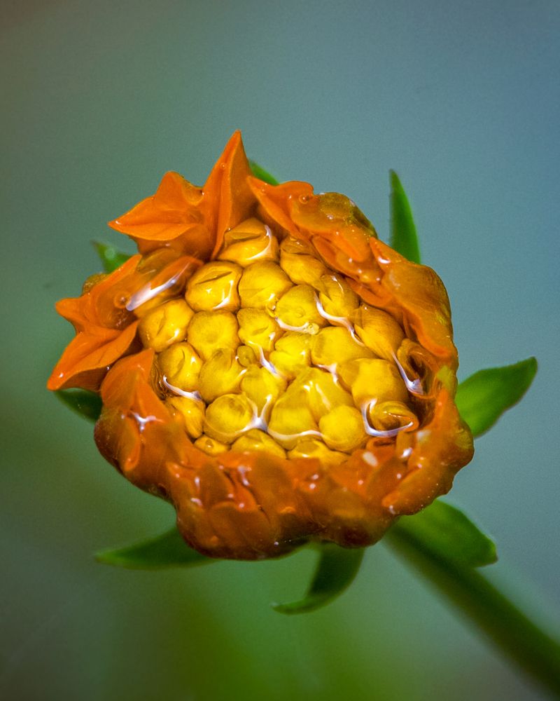 Photograph by Rachana madhav