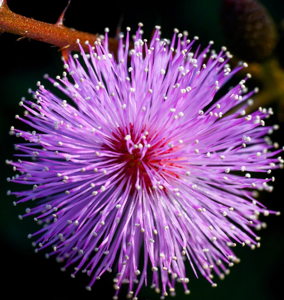 Photograph by Rachana madhav