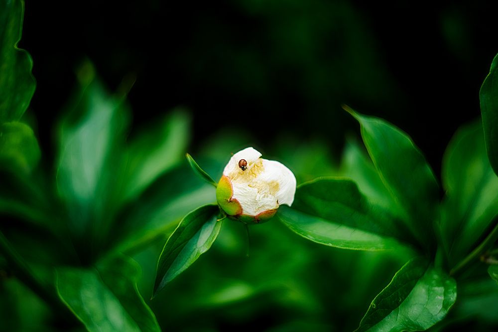 Photograph by Дзюба Нелли