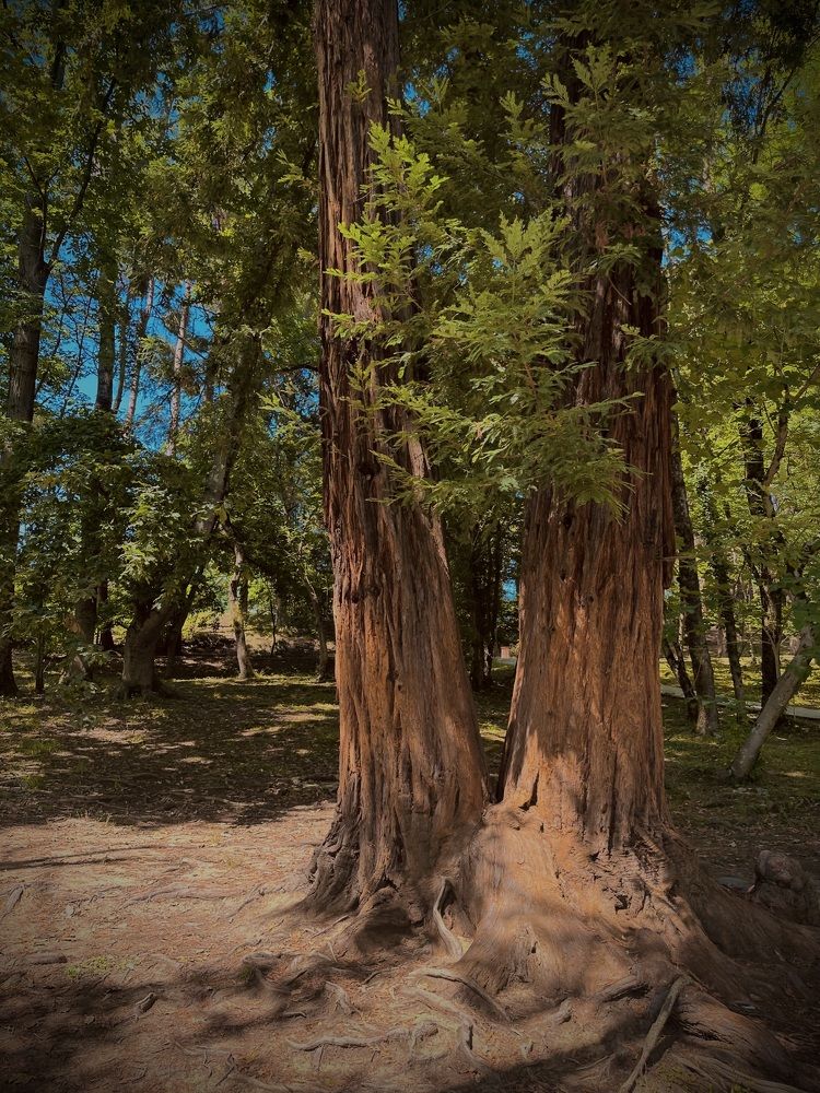 Photograph by Мария Вершинина