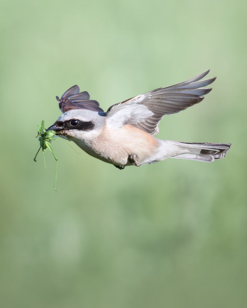 Photograph by Поляков Михаил