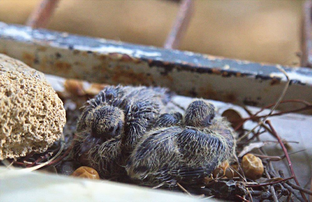 Photograph by Сергей Рапопорт