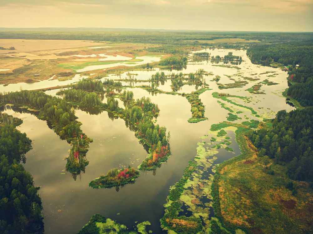 Photograph by Дмитрий Елизаров