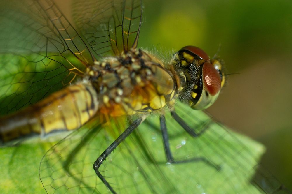 Photograph by Дарья Улюсова