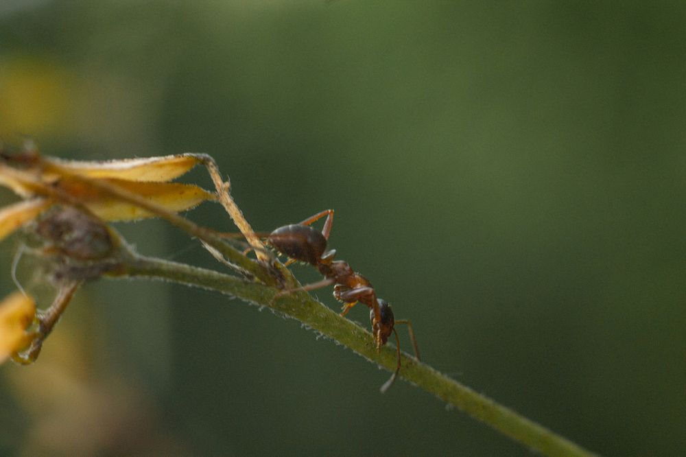 Photograph by Дарья Улюсова