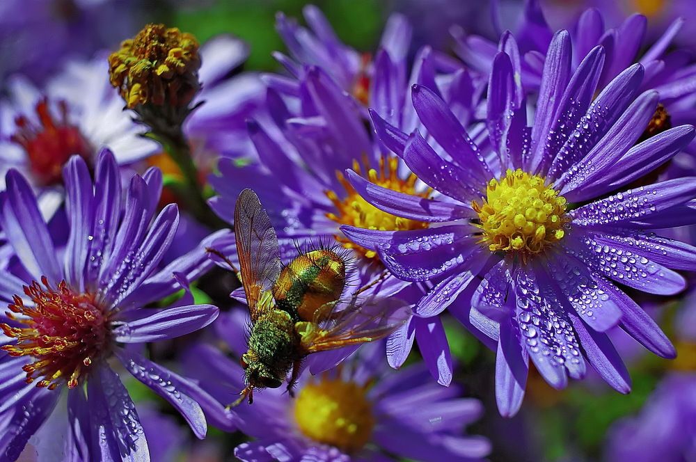 Photograph by Анатолий Святой