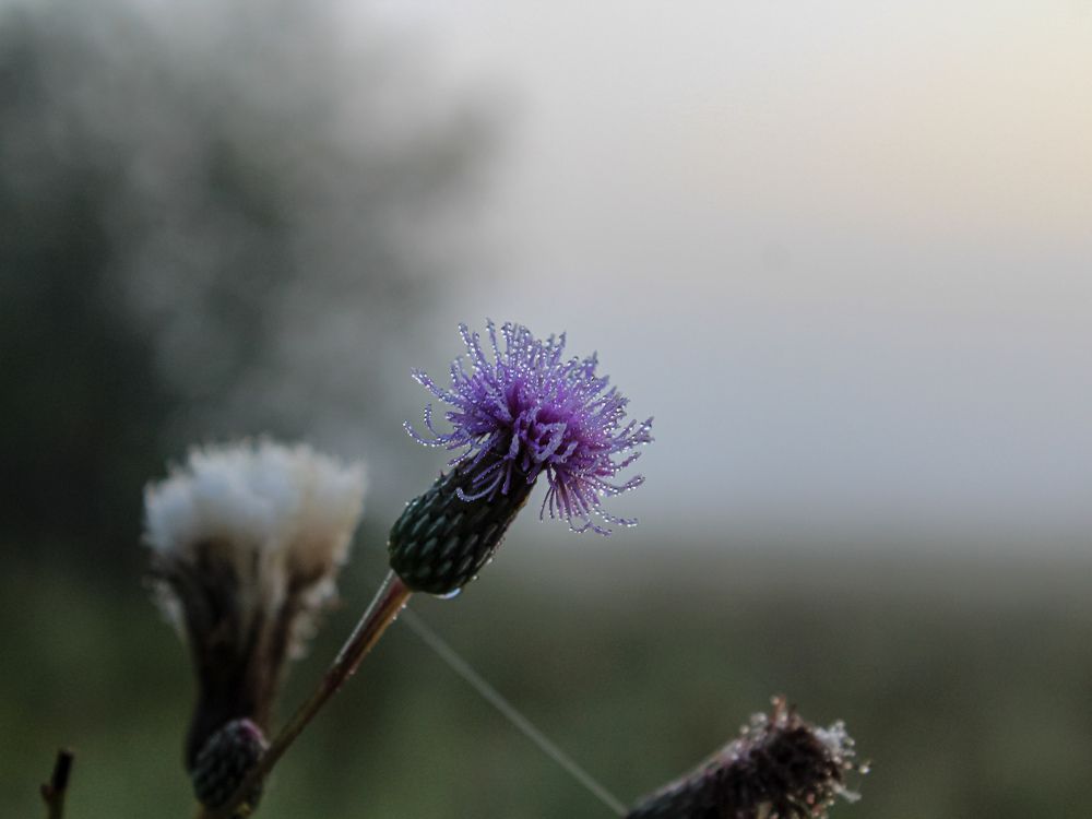 Photograph by Юркин Егор