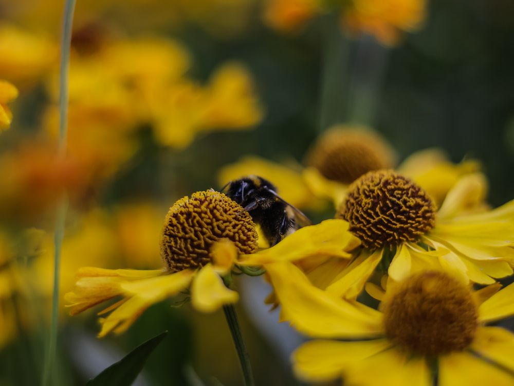 Photograph by Юркин Егор