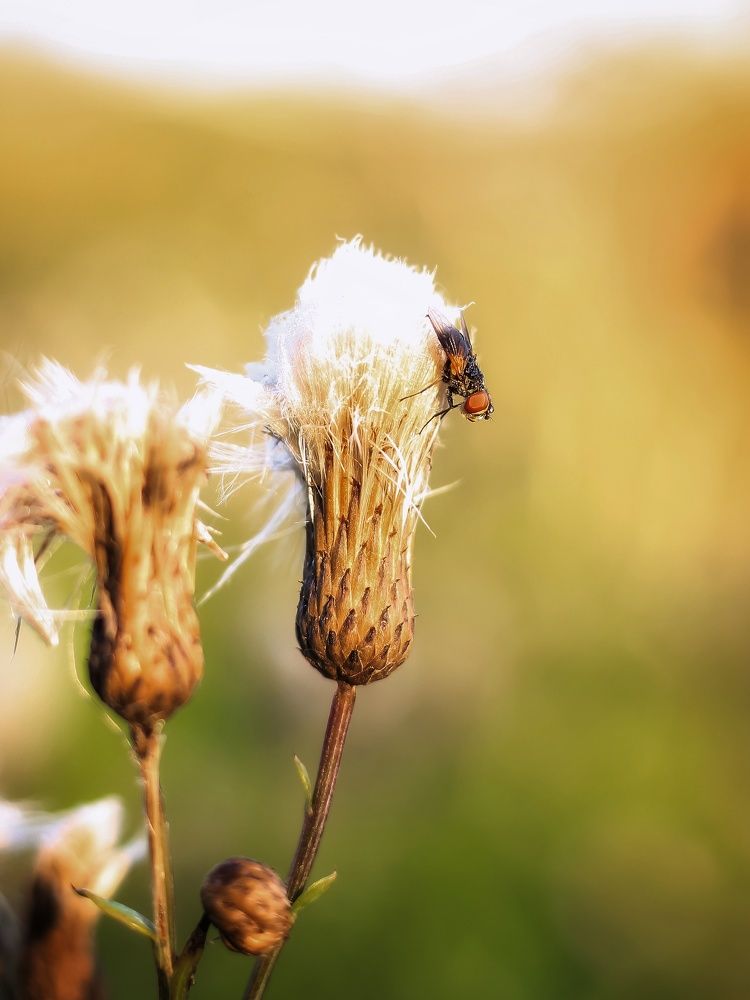 Photograph by Юркин Егор