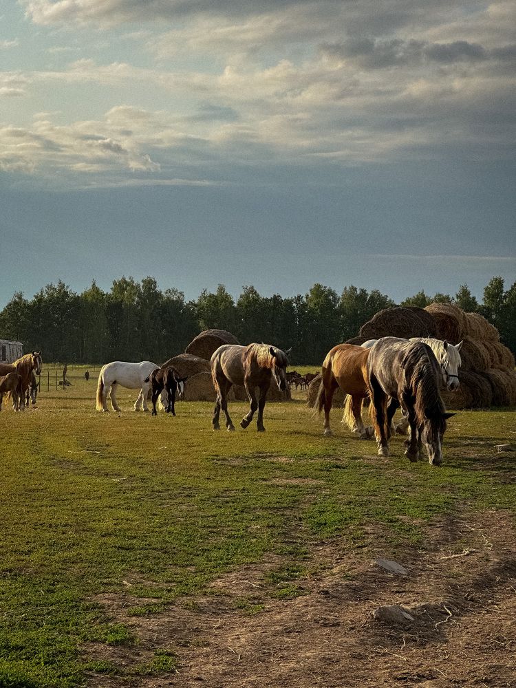 Photograph by Ирина