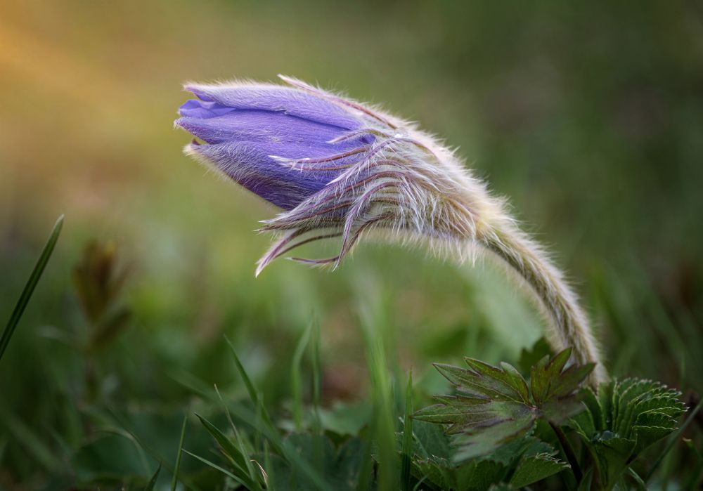 Photograph by Ирина Толокновская