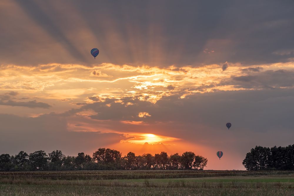 Photograph by Сергей Степанов