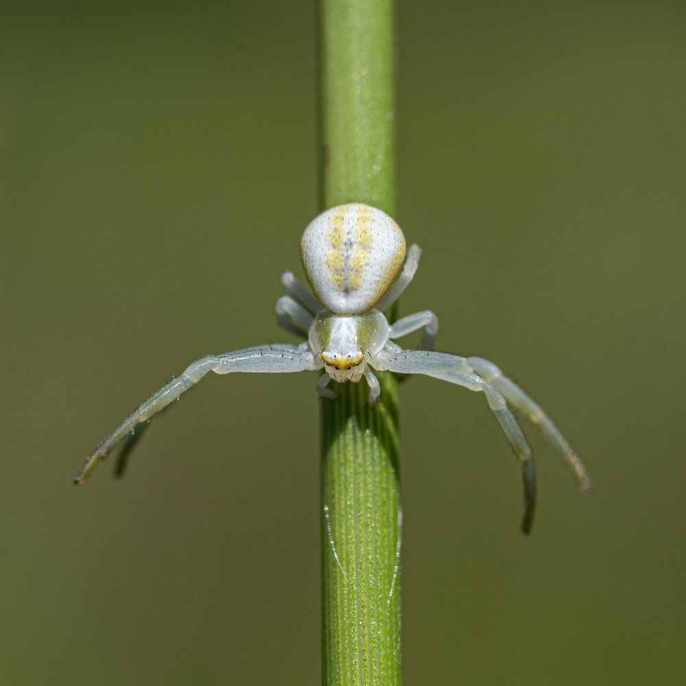 Photograph by Анна Стрелковская