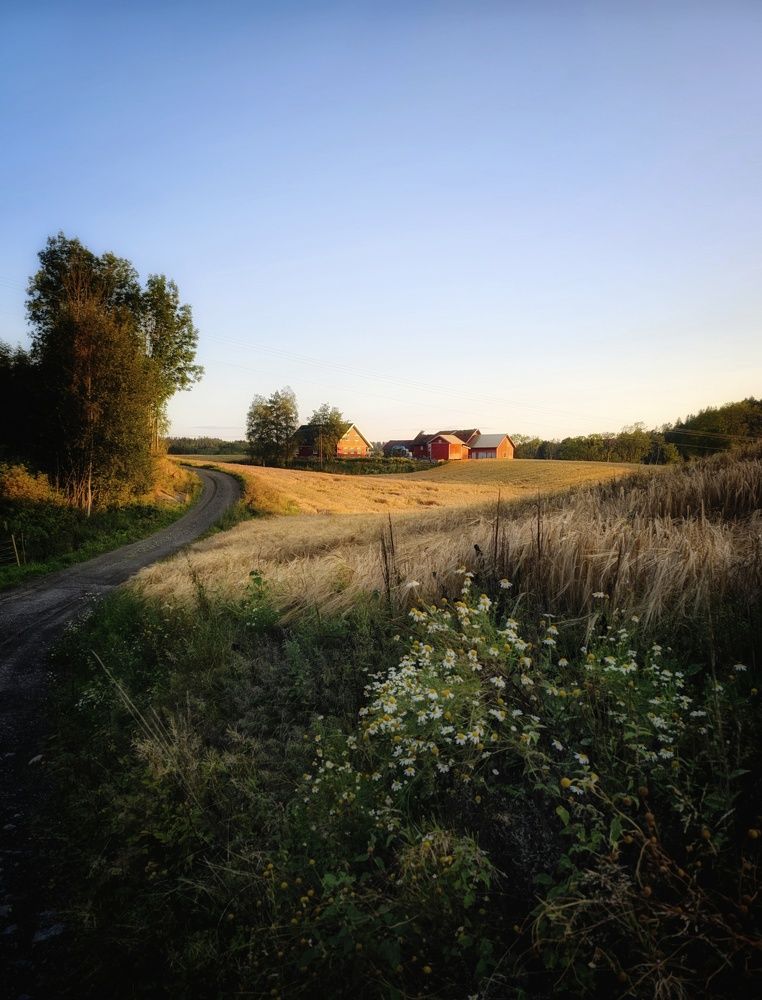 Фотография автора Alina Filimonova