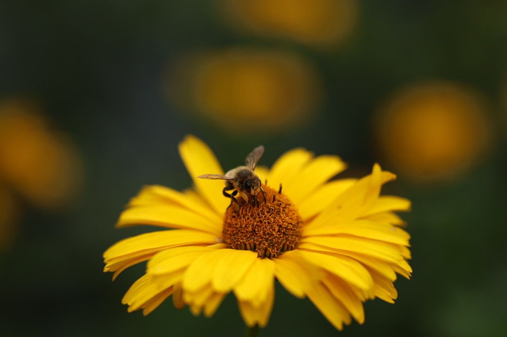 Photograph by Елена Третьякова