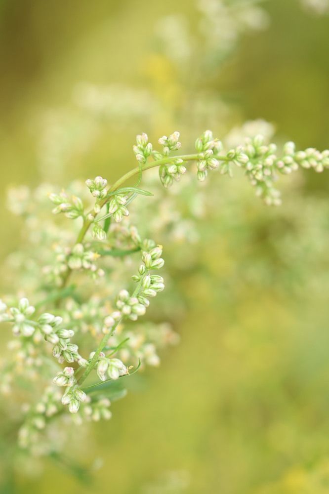 Photograph by Елена Третьякова