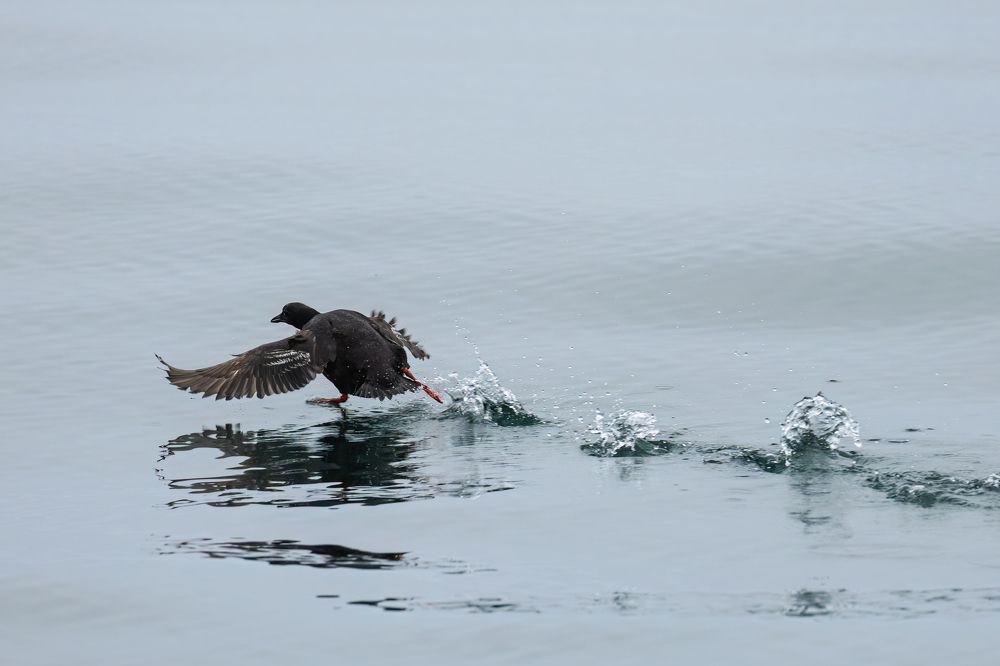 Photograph by Галина Павлова