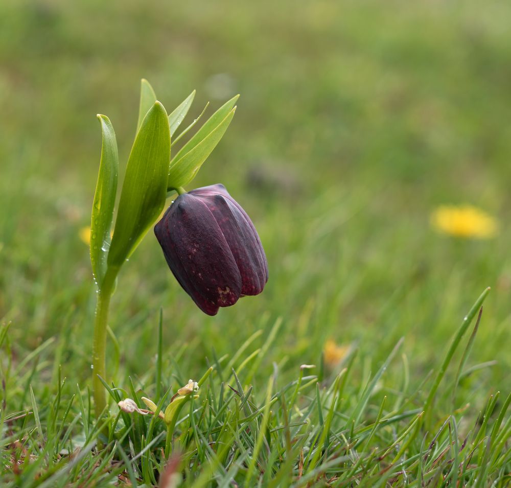 Photograph by Куликова Ирина