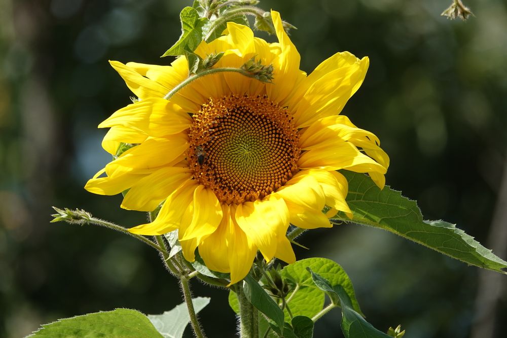 Photograph by Zakharov Matvey