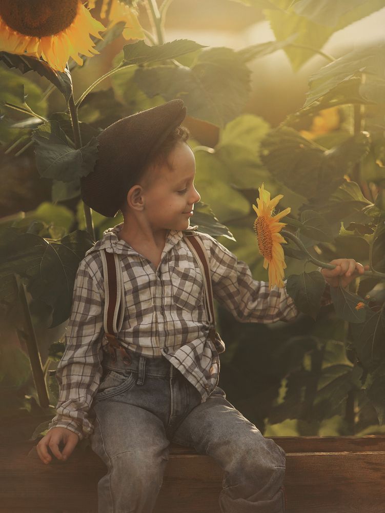 Утро в деревне