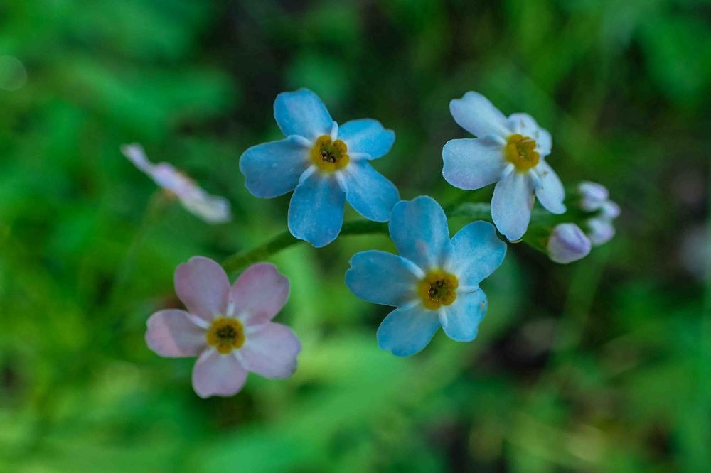 Photograph by Дарий Остахов