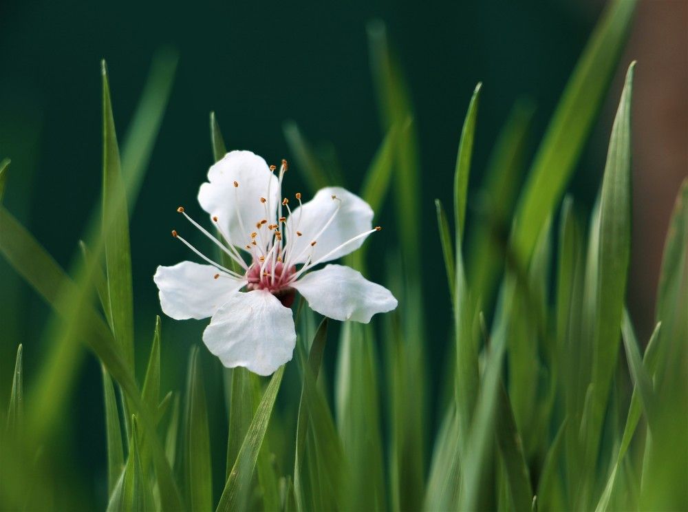 Photograph by Юлия Гудевич