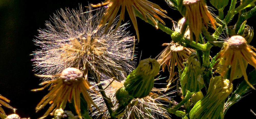 Photograph by mikhail goryachev