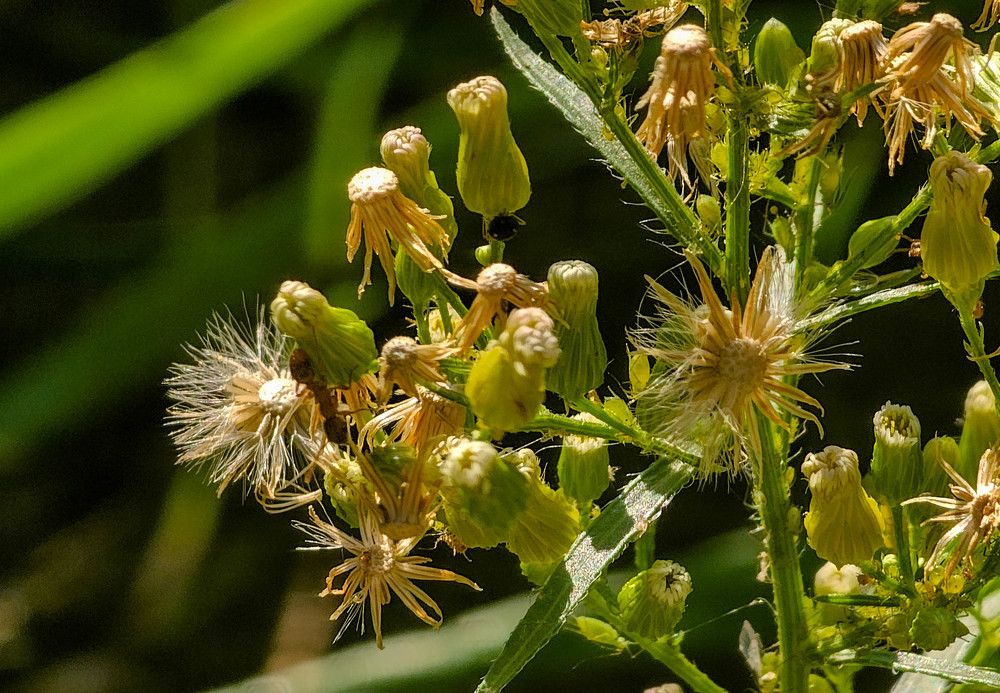 Photograph by mikhail goryachev