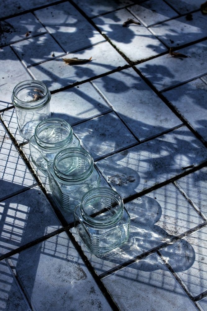 Photograph by Любовь Колмакова